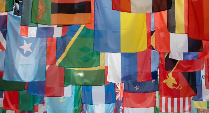 Bandiere Fao, Unsplash/Matthew TenBruggencate
