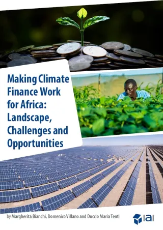 Making Climate Finance Work for Africa: Landscape, Challenges and Opportunities