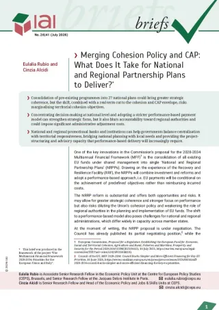 Merging Cohesion Policy and CAP: What Does It Take for National and Regional Partnership Plans to Deliver?