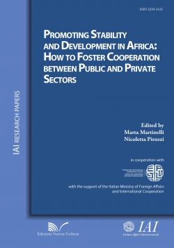 Promoting Stability And Development In Africa How To Foster Cooperation Between Public And Private Sectors