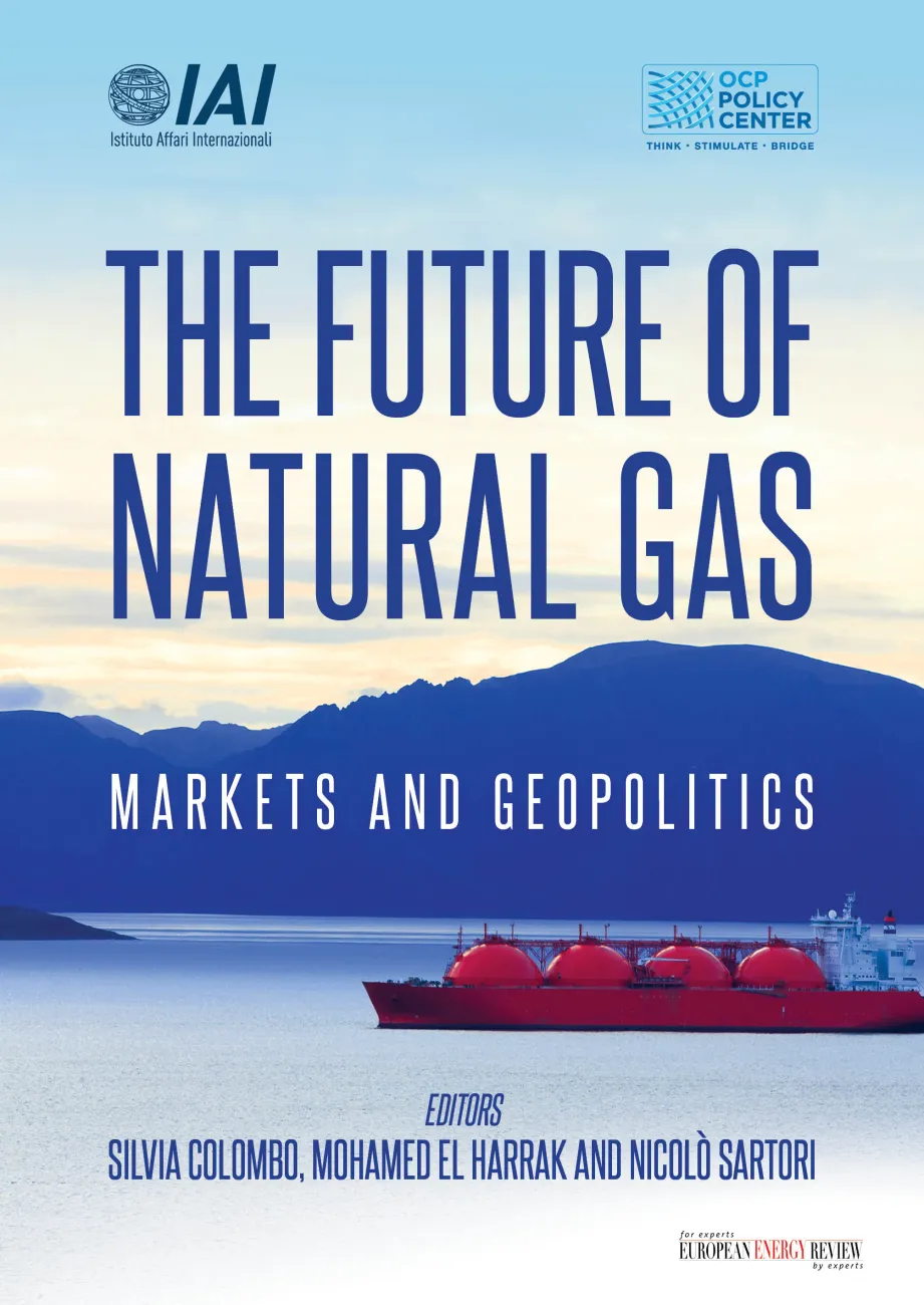 The Future of Natural Gas | Istituto Affari Internazionali