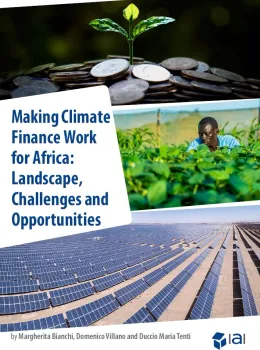 Making Climate Finance Work for Africa: Landscape, Challenges and Opportunities