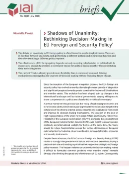 Shadows of Unanimity: Rethinking Decision-Making in EU Foreign and Security Policy