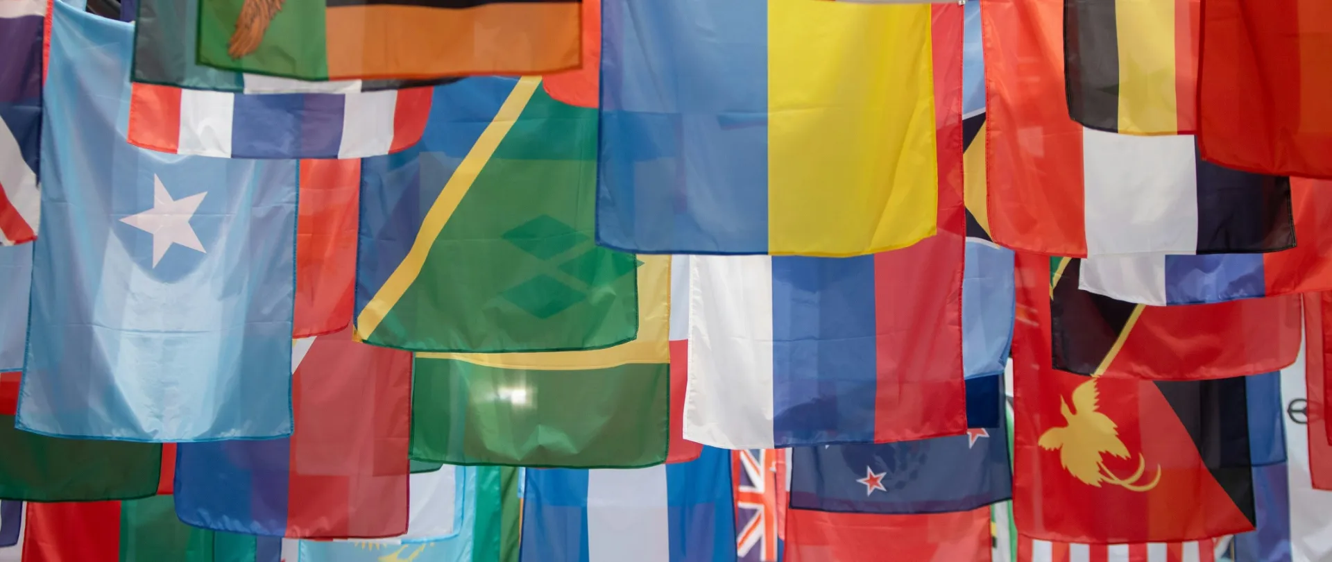 Bandiere Fao, Unsplash/Matthew TenBruggencate