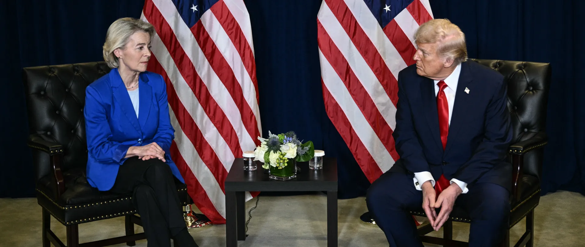 pp-trump-vonderleyen2.jpg